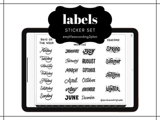 Minimalist Everyday Stickers, Days Months and Seasons Sticker Set, Digital Planner Stickers, GoodNotes 5 Elements, Precropped